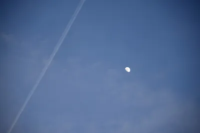 DSC_8133 (Large).JPG